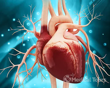 Cardiology Treatment Cardiology Treatment