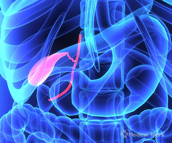 Gallbladder Surgery Gallbladder Surgery