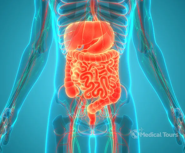 Gastroenterology Surgery