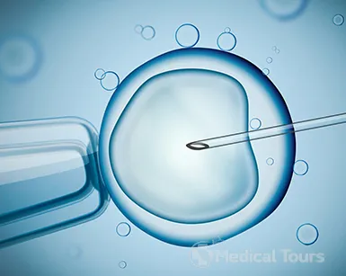 In vitro fertilization In vitro fertilization