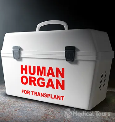 Organ Transplant Organ Transplant