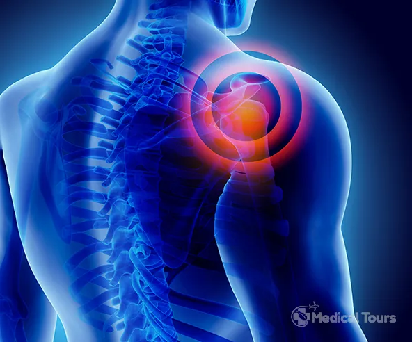 Shoulder Joint Shoulder Joint