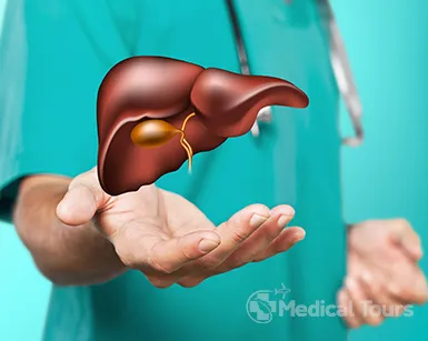 Liver Transplant